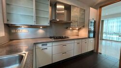 The Light @ Cairnhill (D9), Condominium #569802801